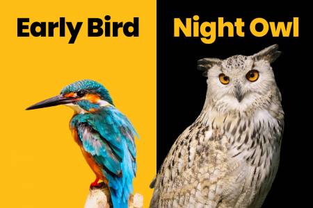 ¿Eres un Early Bird o un Night Owl?